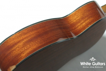 F-020 - Red brown Sunburst